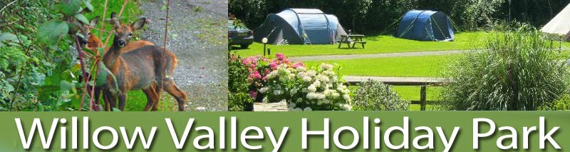 Willow Valley Holiday Park - Bude