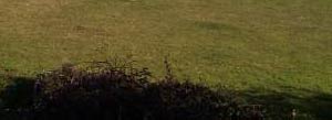Self catering in Trebetherick, Rock