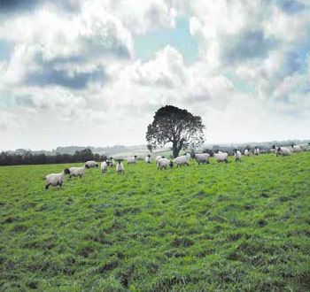 Bed and Breakfast Holiday Accommodation in  Truro Cornwall