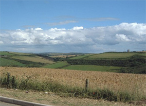 Holiday Cottage -  Newquay - Cornwall