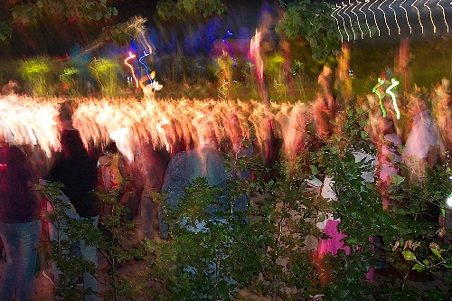 Crowd at an Eden Sessions concert, Eden Project