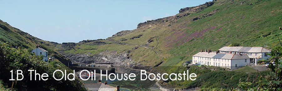 Boscastle harbour and valley