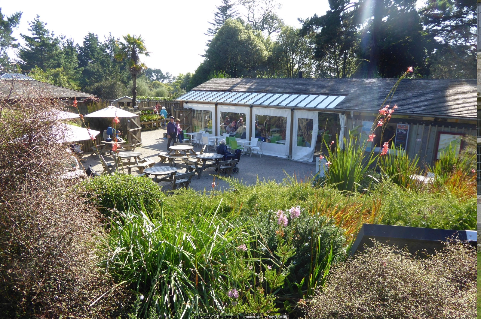 The tea-house at Glendurgan Garden