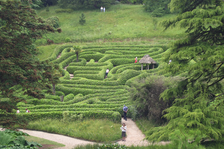 The laurel maze at Glendurgan Garden