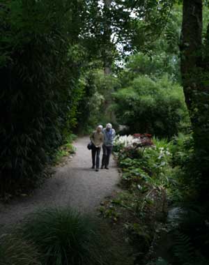Visitors walking a gravel path through the gardens at Trengwainton