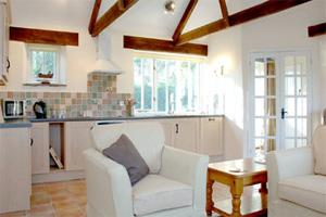Open-plan living area