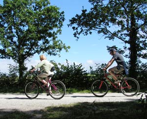 Bridge Bike Hire Wadebridge cyclists on the Camel Trail - Cornwall family cycling attraction