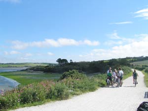 Bridge Bike Hire Wadebridge The Camel Estuary - Cornwall family cycling attraction