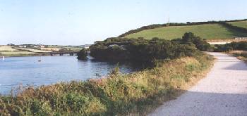 Bridge Bike Hire Wadebridge - exploring The Camel Trail - Cornwall family cycling attraction