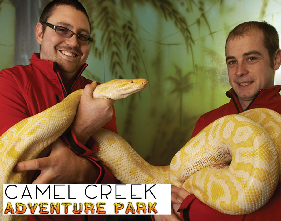 Camel Creek Adventure Park Cornwall rides overview - Cornwall family theme park