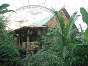Malaysian rainforest display, Eden Project