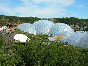 Terraced outdoor gardens at the Eden Project