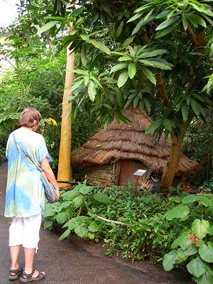 Eden Project construction-era display hut