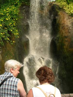 Waterfall inside the Eden Project Biome