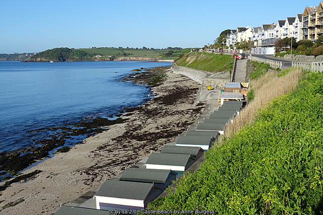 Castle Beach Looking towards Pendennis Head and its castle, Cornwall