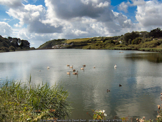 Swanpool - Local Nature Reserve and a Site of Special Scientific Interest (SSSI), Cornwall