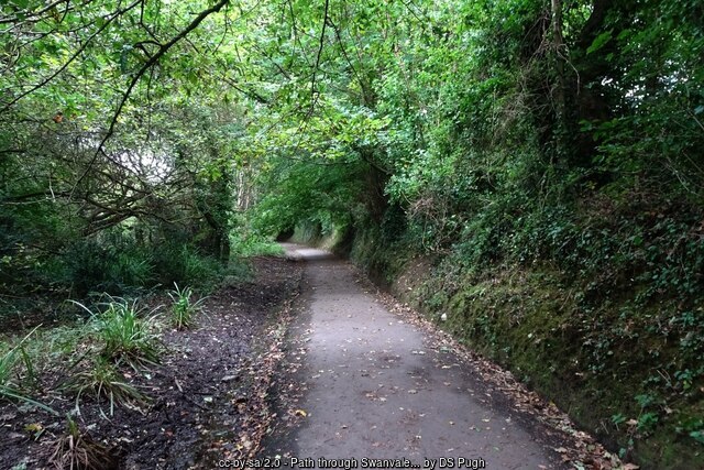 Swanpool Path through Swanvale Nature Reserve , Cornwall