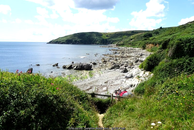 Samphire Beach near Hannafore Beach, Looe, Cornwall