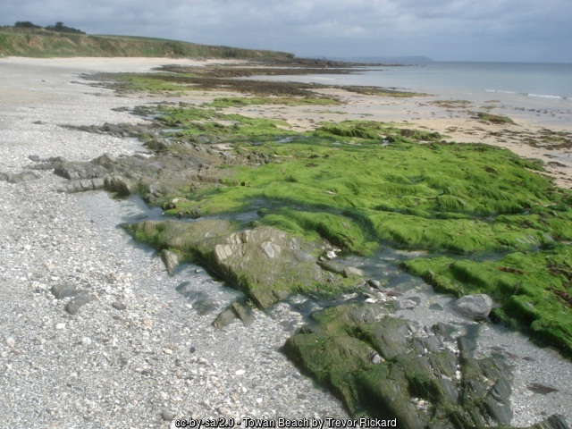 Towan Beach, Cornwall