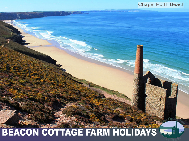 Chapel Porth and Wheal Coates