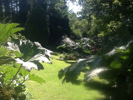 The subtropical garden