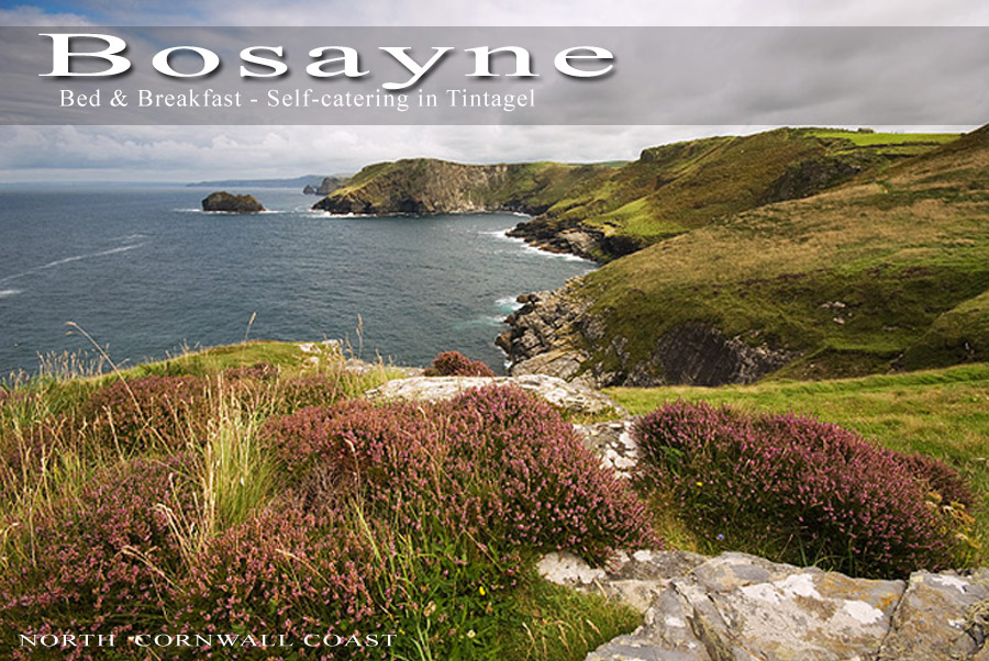 The North Cornwall coast near Tintagel