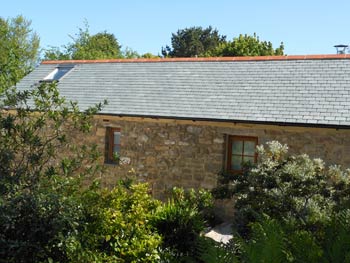 The Longhouse