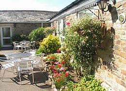 Flower-filled courtyard outside Chough cottage at Coldharbour Farm
