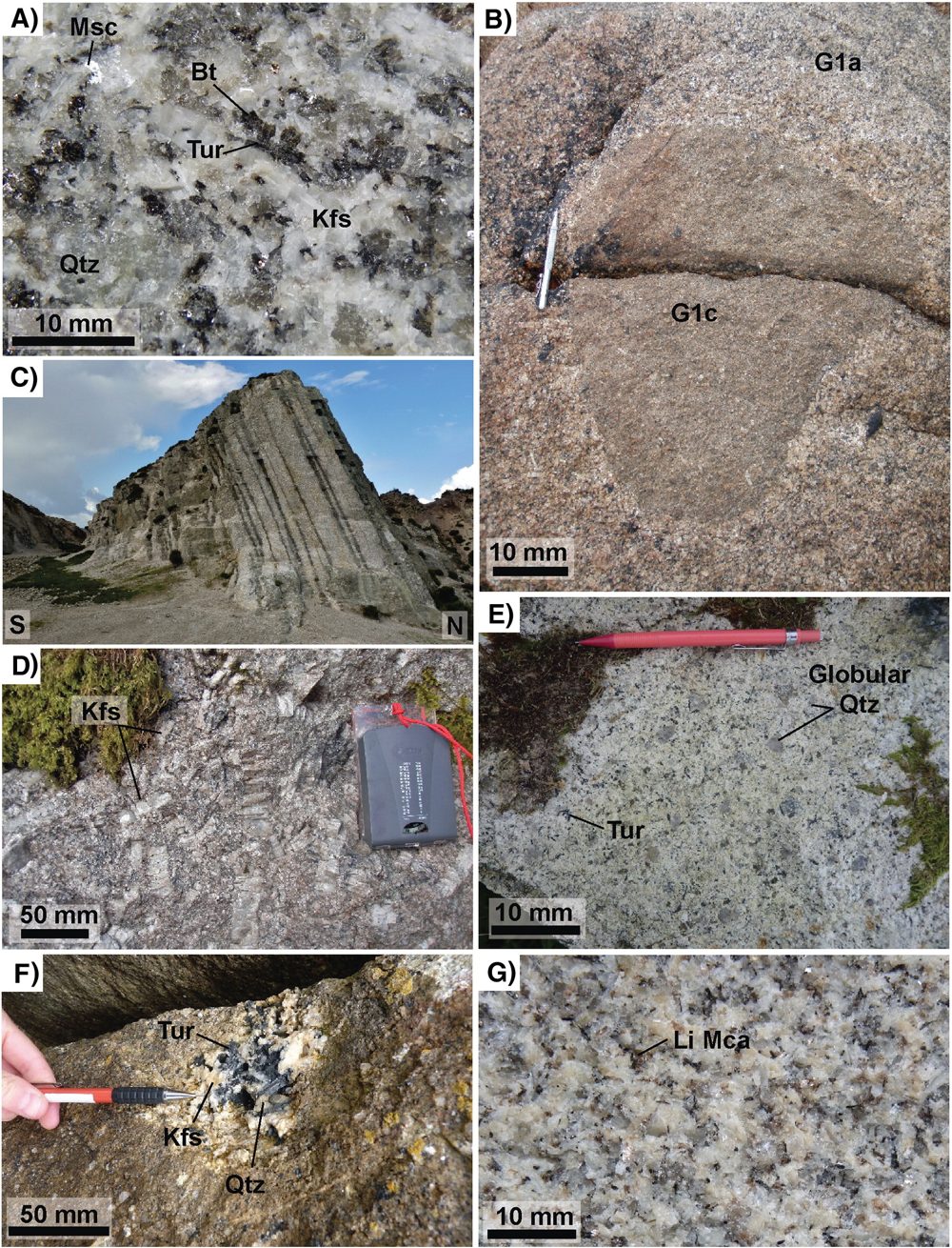 Scientific field photographs showing different granite textures from the Cornubian Batholith, including Dartmoor and Cornish granite