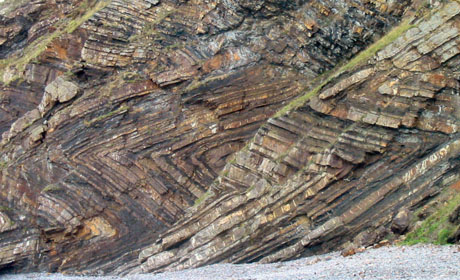 Angular chevron folds in layered rocks at Millook Haven