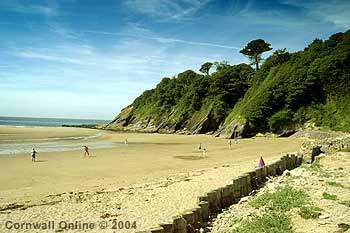 The sands of Porthluney Cove below Caerhays