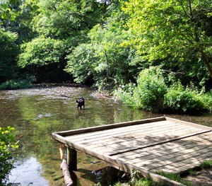 Walking at Cadson Bury near Callington