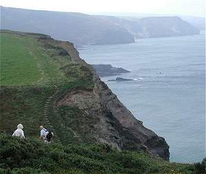 The coast path near Morwenstow